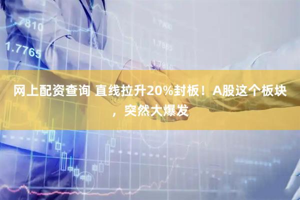 网上配资查询 直线拉升20%封板！A股这个板块，突然大爆发