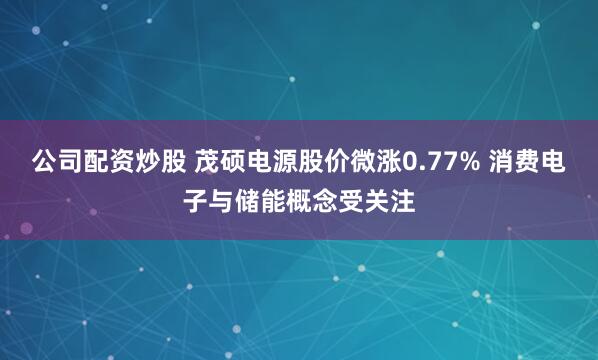 公司配资炒股 茂硕电源股价微涨0.77% 消费电子与储能概念受关注