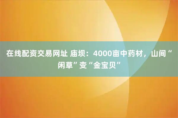 在线配资交易网址 庙坝：4000亩中药材，山间“闲草”变“金宝贝”