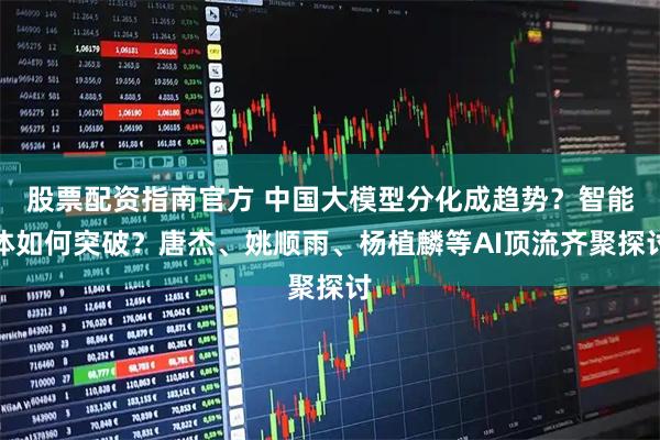 股票配资指南官方 中国大模型分化成趋势？智能体如何突破？唐杰、姚顺雨、杨植麟等AI顶流齐聚探讨
