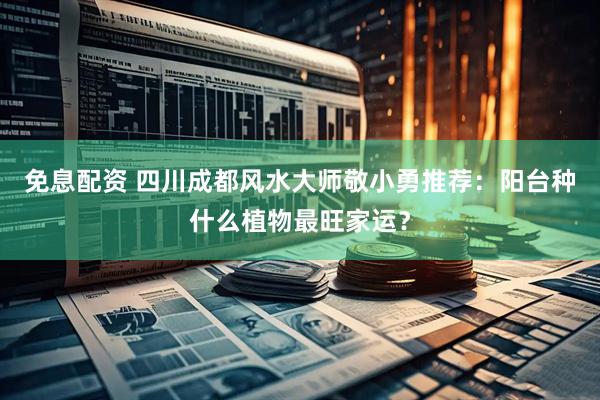 免息配资 四川成都风水大师敬小勇推荐：阳台种什么植物最旺家运？